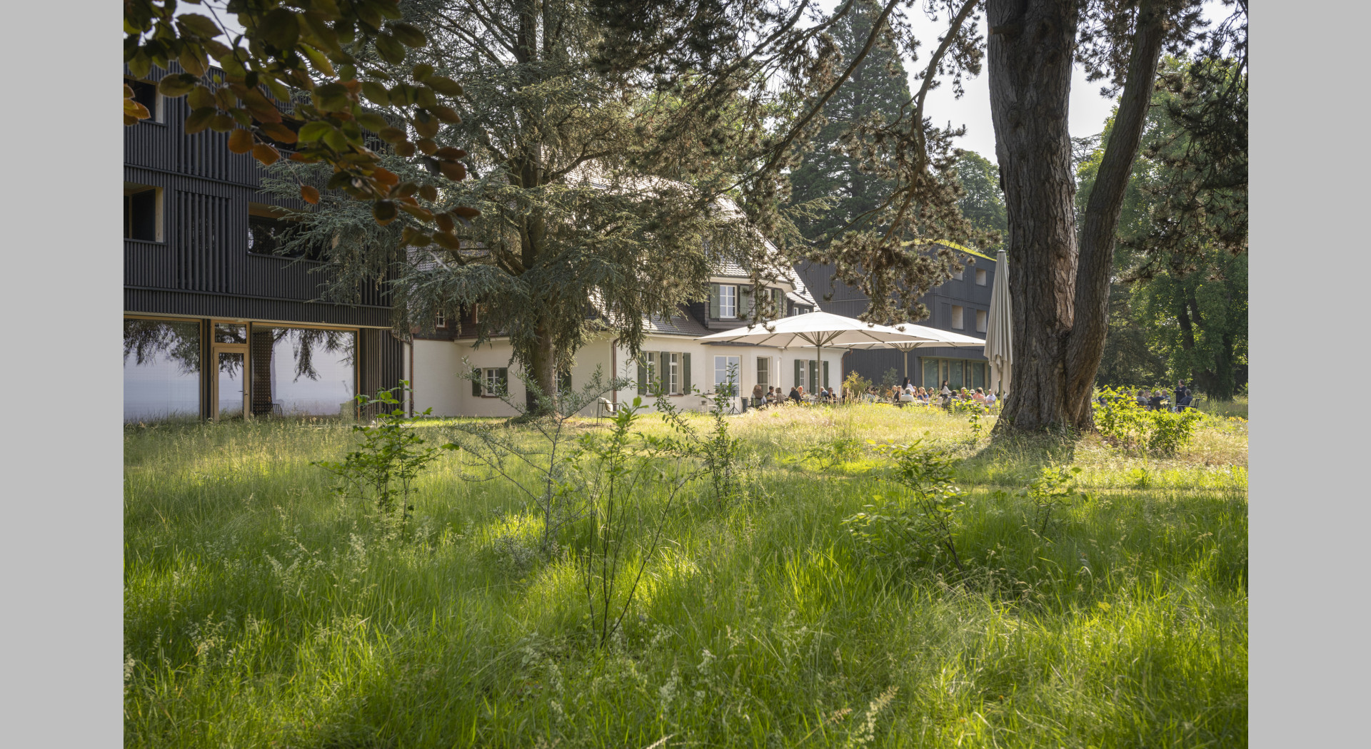Park und naturnahe Wiesen im Seegut mit Blick auf die Villa Gminder